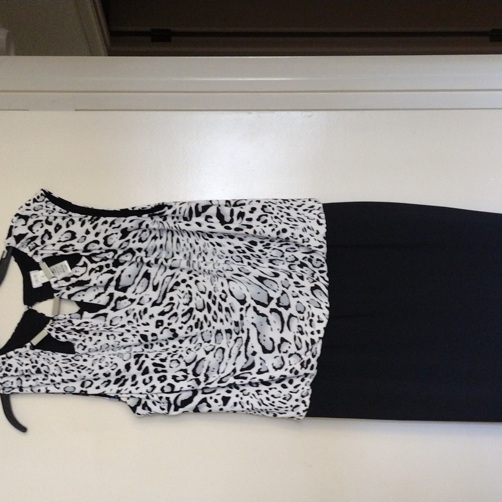cache dress